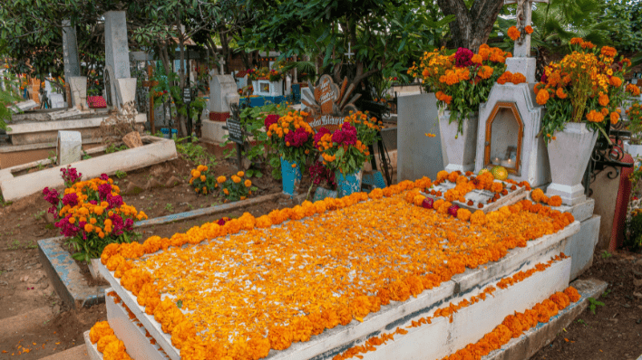 oaxaca panteón