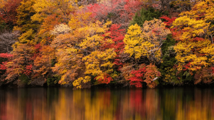 Lake district