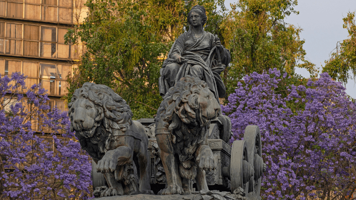 roma norte