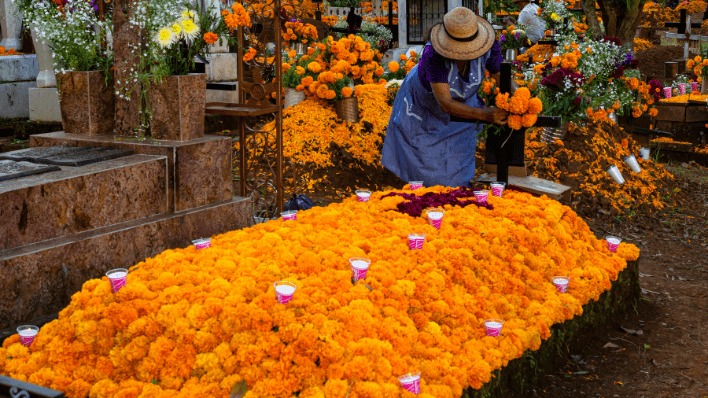 oaxaca panteón