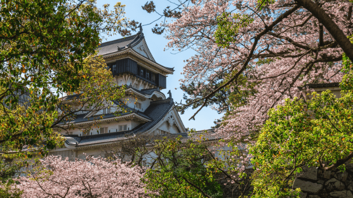 福岡成
