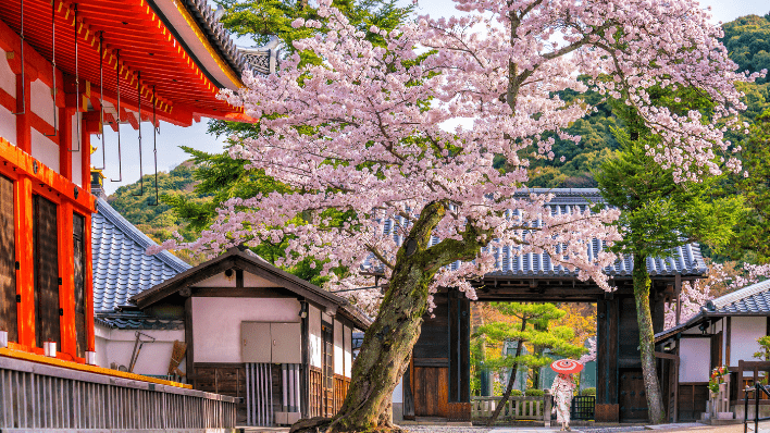 清水寺
