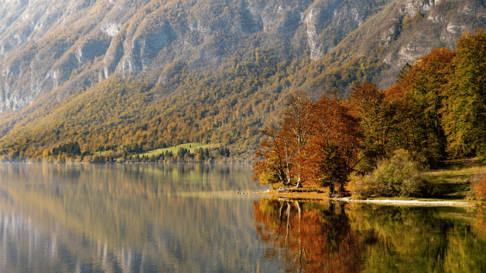 lake bohinj