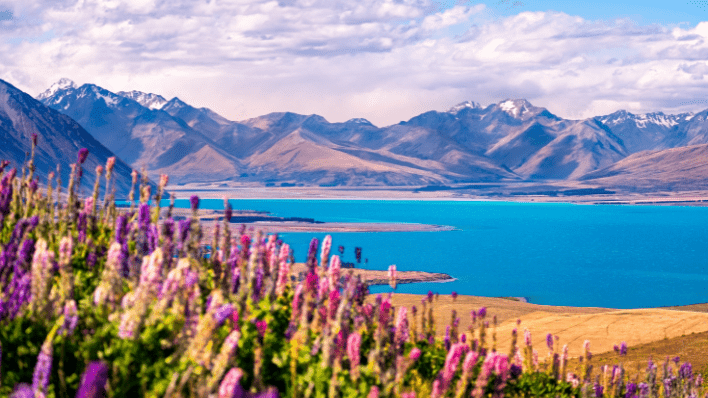 Lake Tekapo