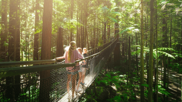 Redwoods Treewalk