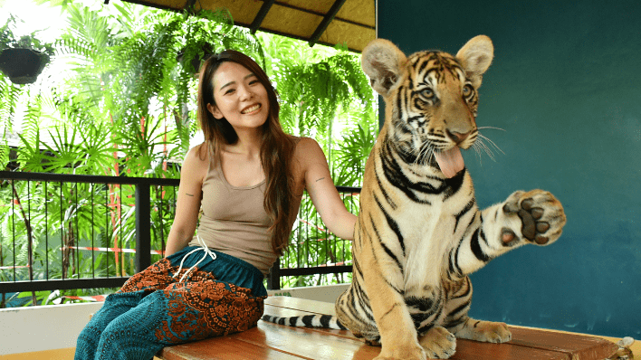 Tiger Park