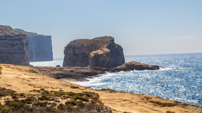 Fungus Rock