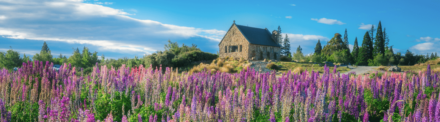 Lake Tekapo