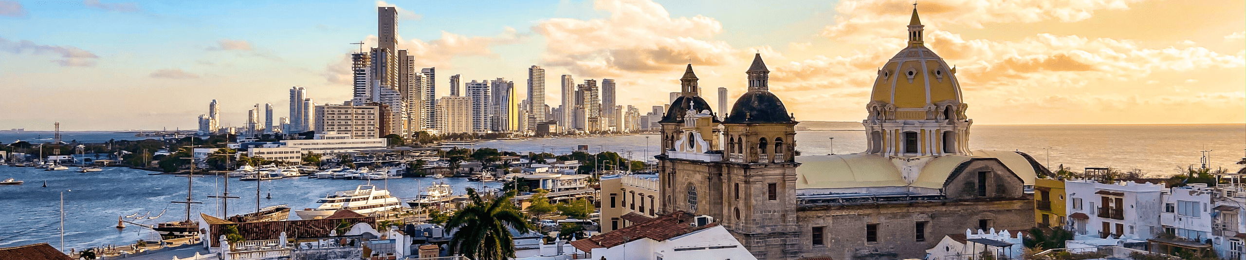 中橫幅 (1440 x 300像素) (1)