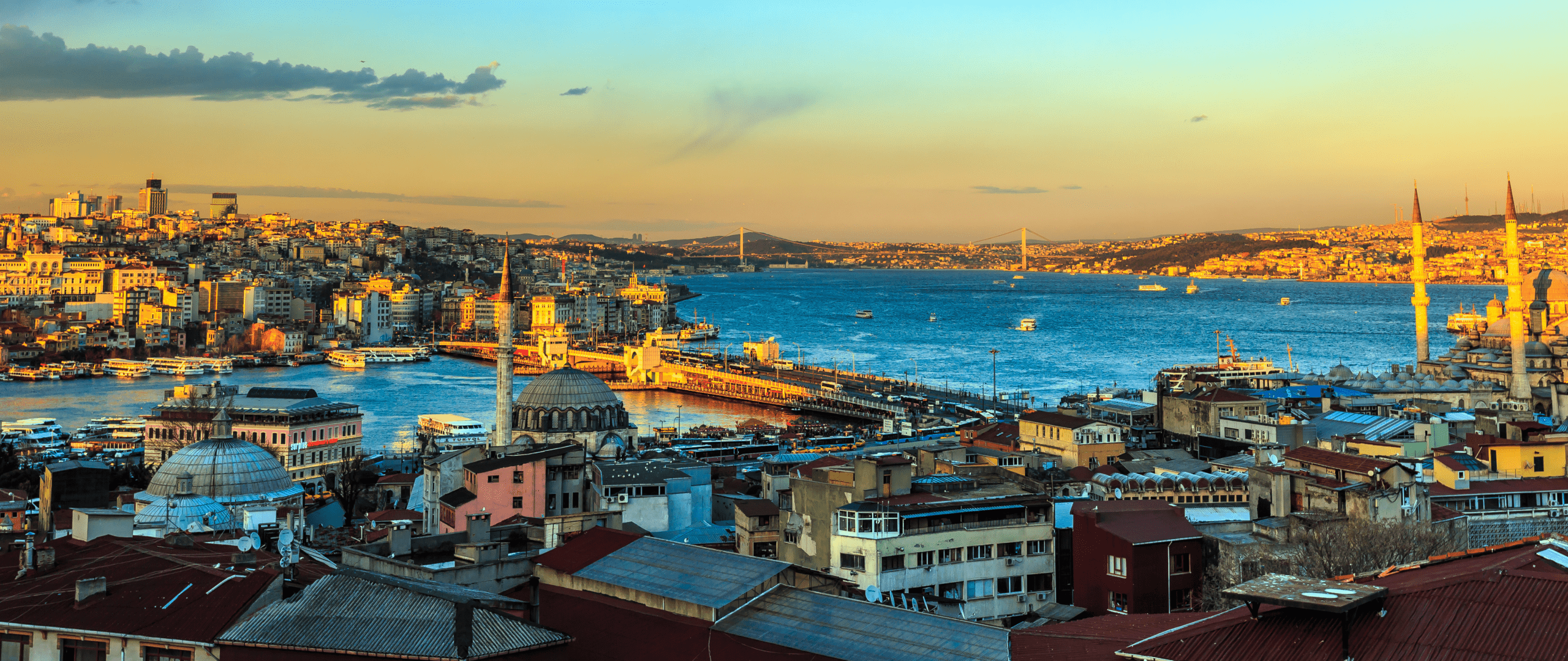 大橫幅 (1440 x 607 像素)