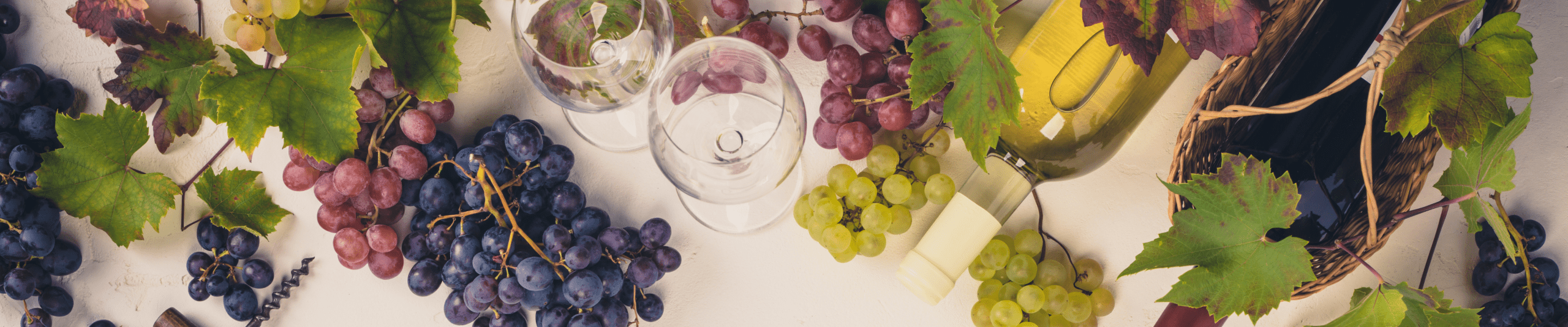 中橫幅 (1440 x 300像素) (1)