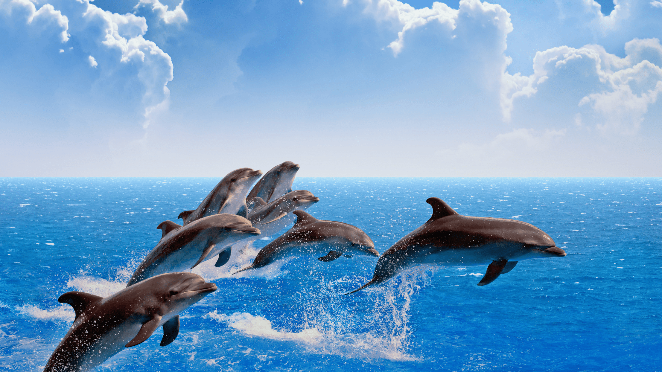 官網輪播圖大小