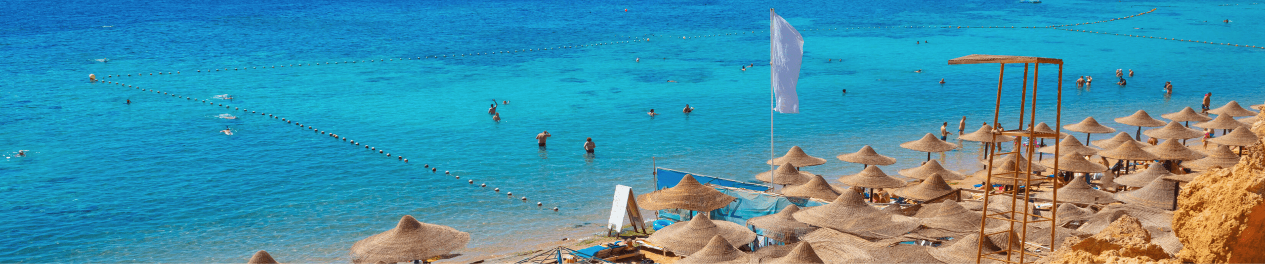 中橫幅 (1440 x 300像素)