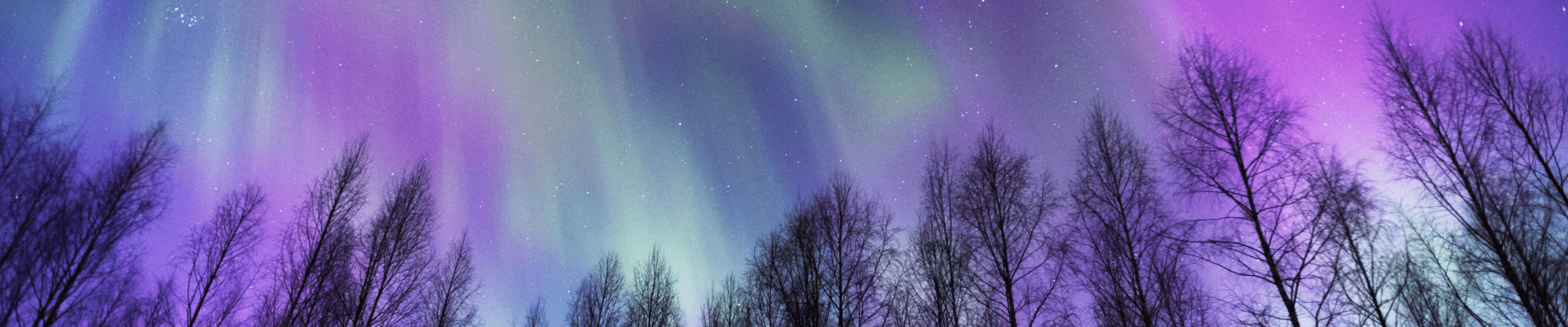 中橫幅 (1440 x 300像素)