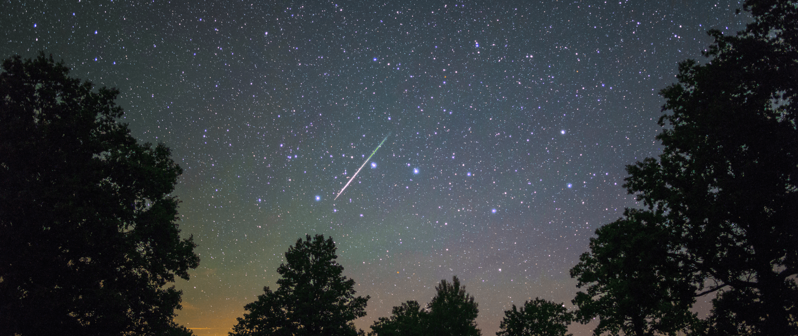 大橫幅 (1440 x 607 像素) (1)