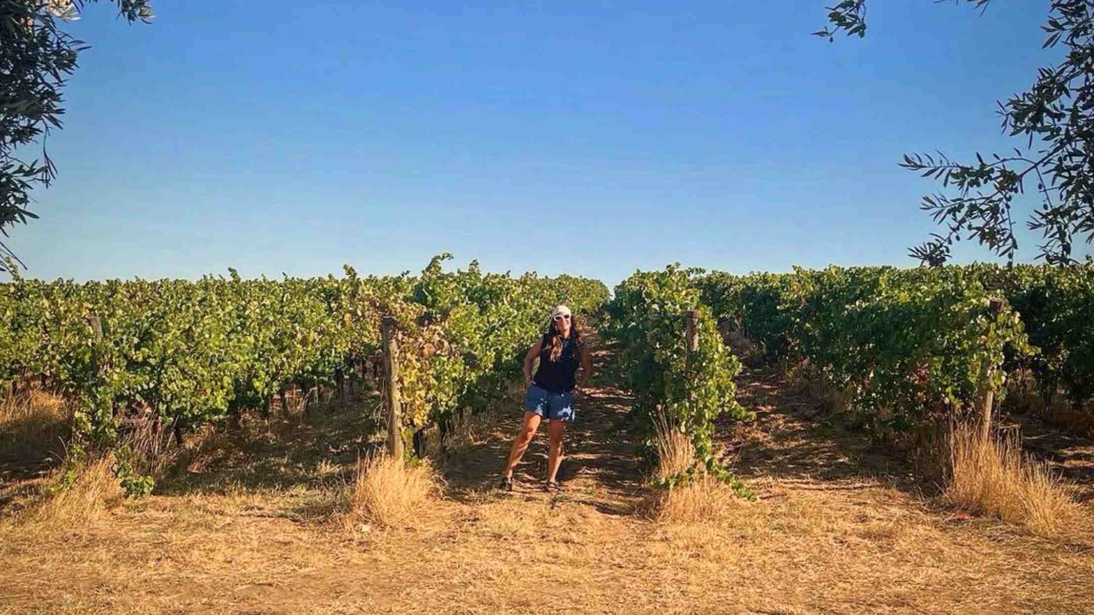 Cartuxa 酒莊體驗 (2)