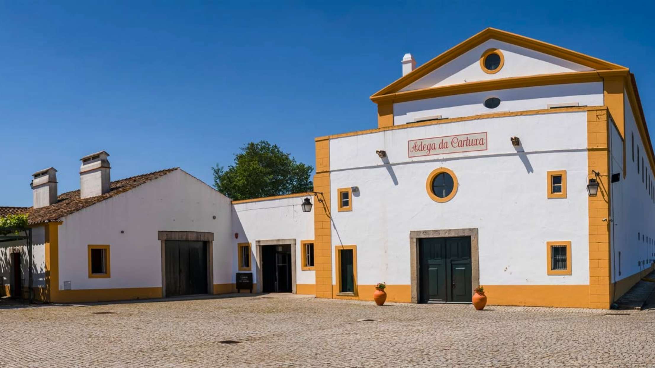 Cartuxa 酒莊體驗