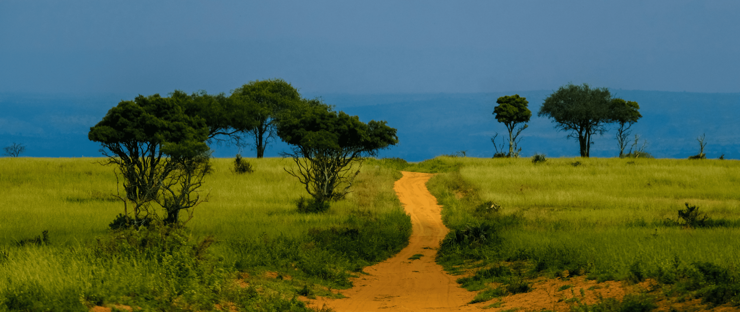 大橫幅 (1440 x 607 像素) (3) (1)