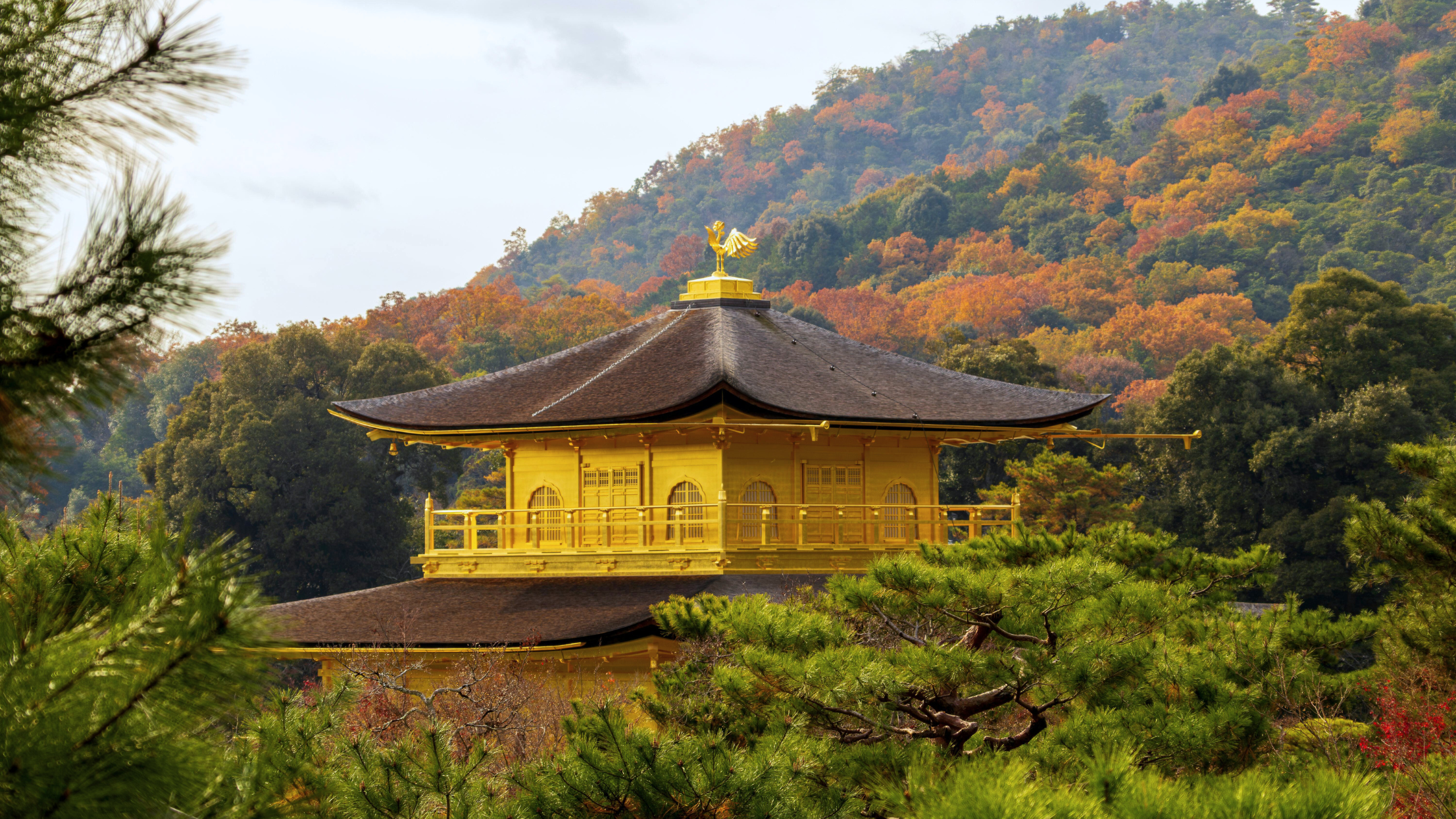 Kinkaku-ji (2)