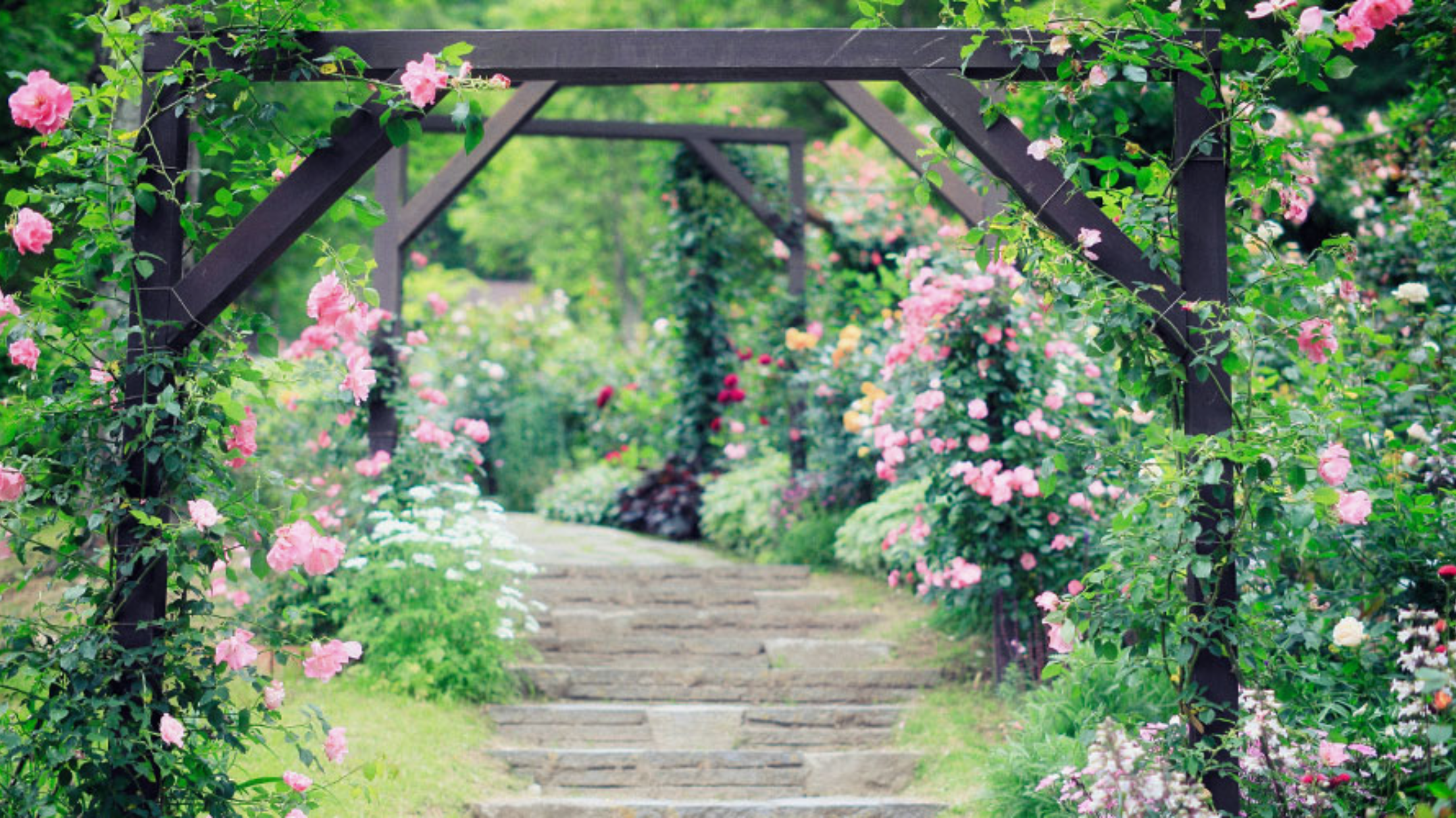 Nunobiki Herb Gardens (3)