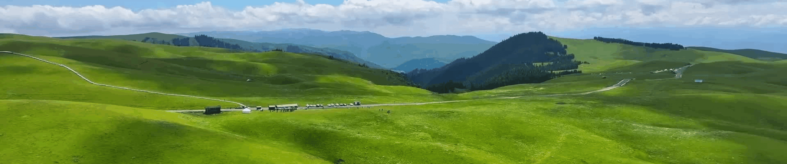 中橫幅 (1440 x 300像素) (1) (1)