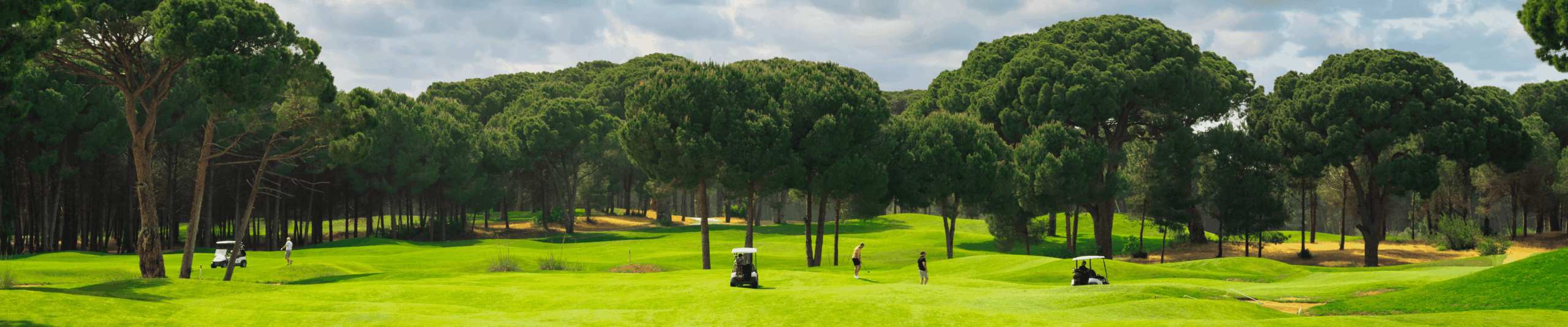 中橫幅 (1440 x 300像素) (1)