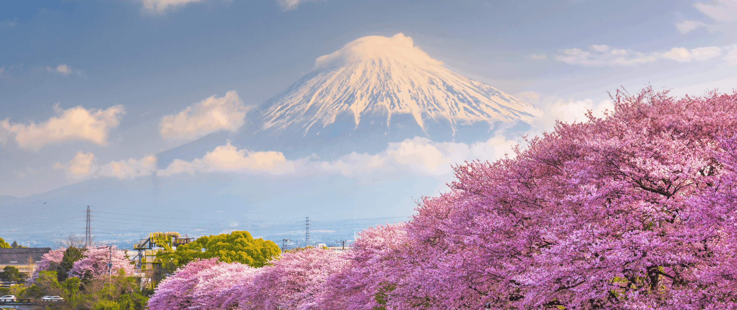 Luminara 頂級遊艇之旅｜10天9夜收藏太平洋最溫柔的慢時光