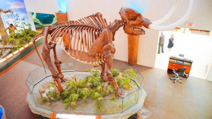 檀香山藝術博物館