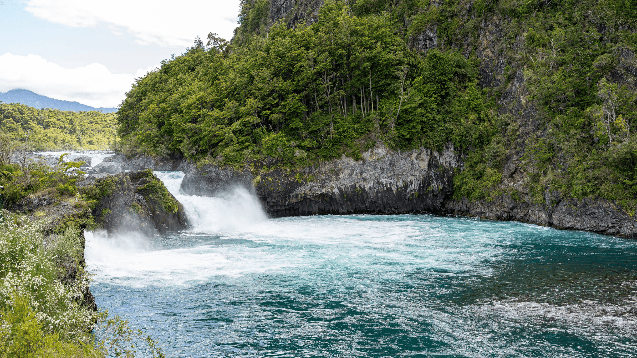 文森特·佩雷斯·羅薩萊斯公園 (2)
