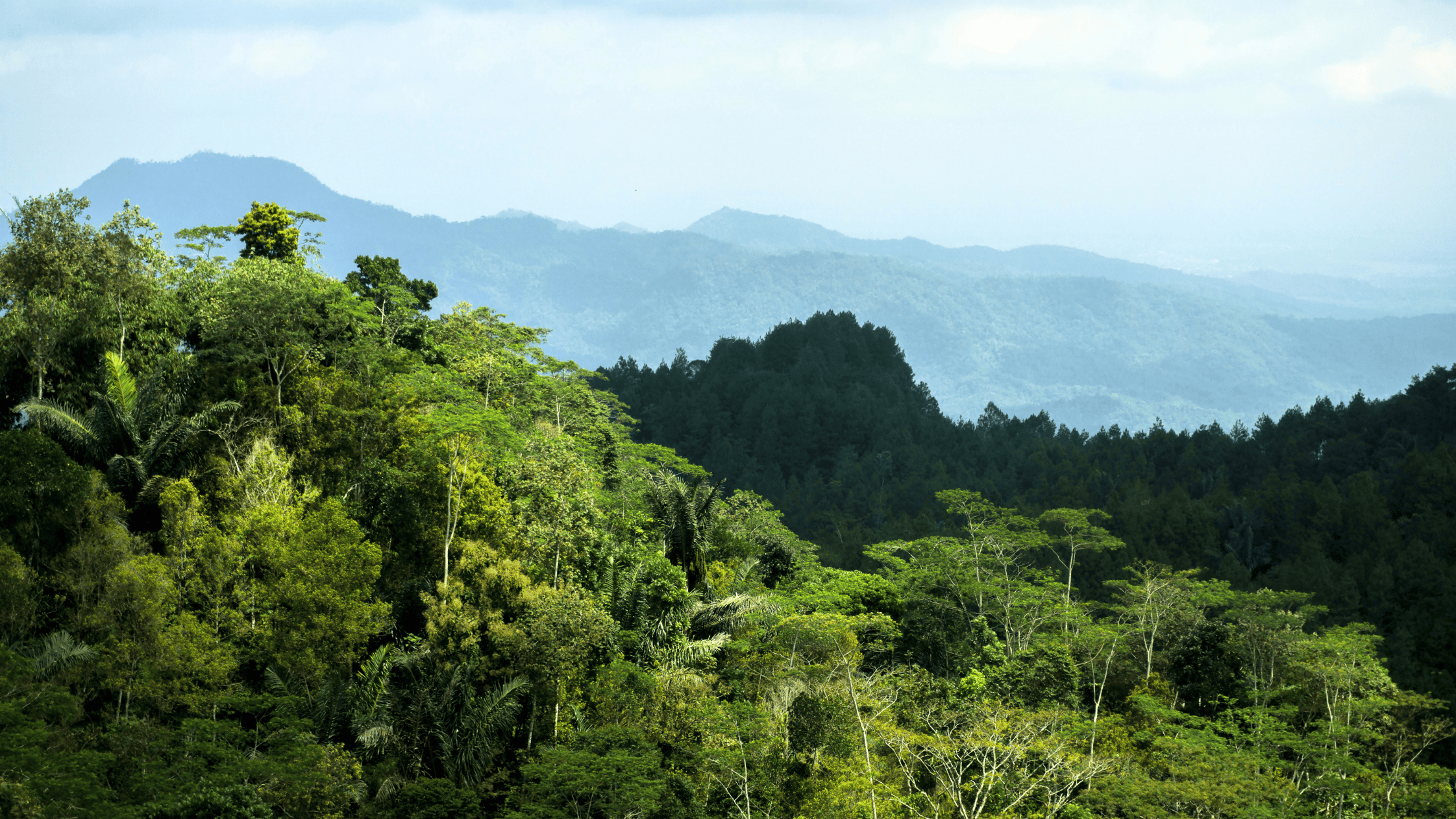 梅諾雷山脈健行 (2)