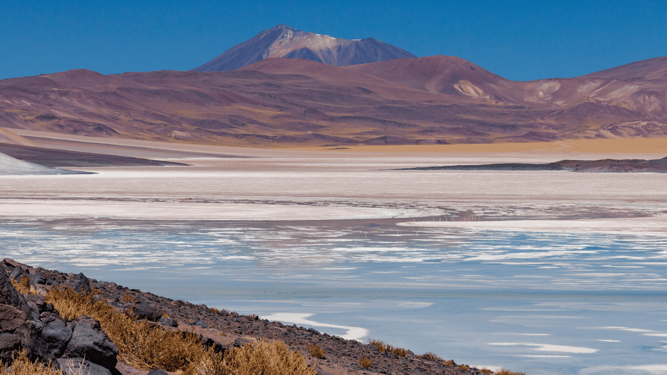 阿塔卡馬鹽湖 (2)