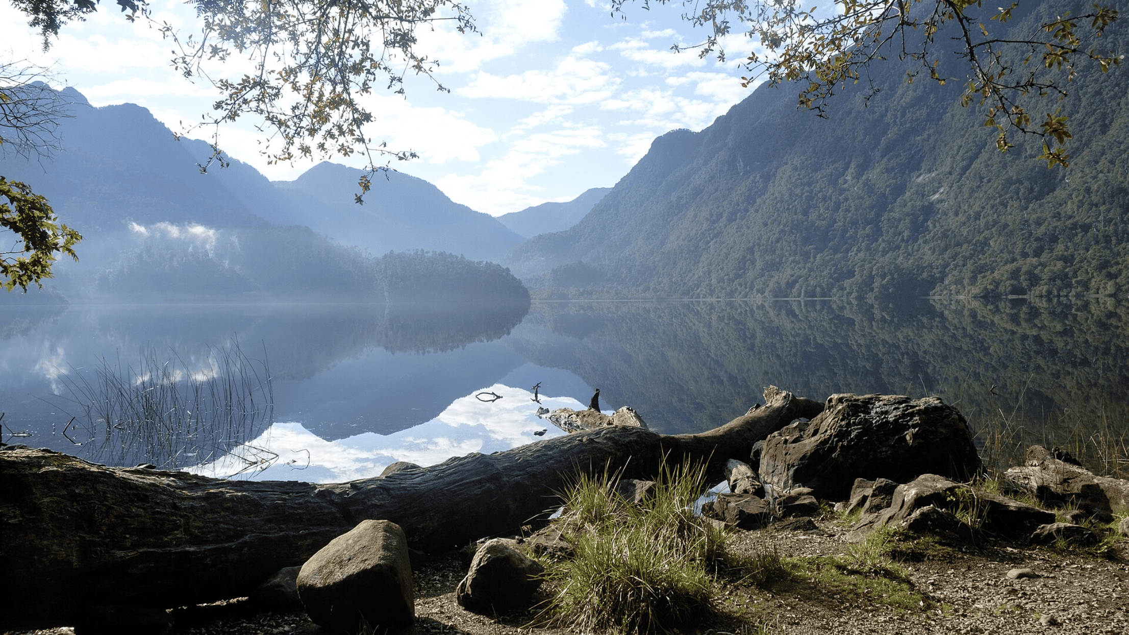 阿萊爾塞安迪諾國家公園