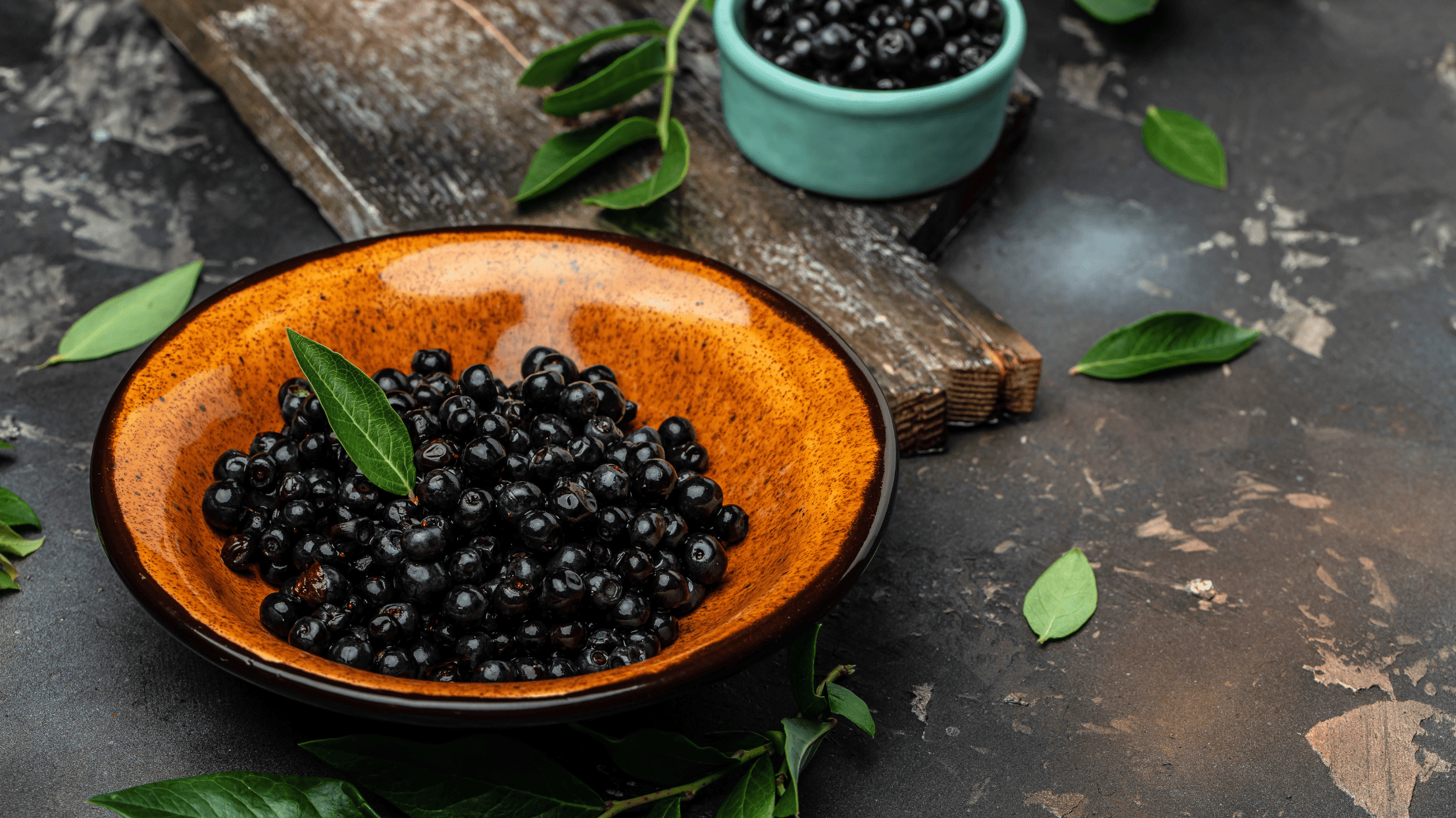 馬普切原住民文化體驗 (3)