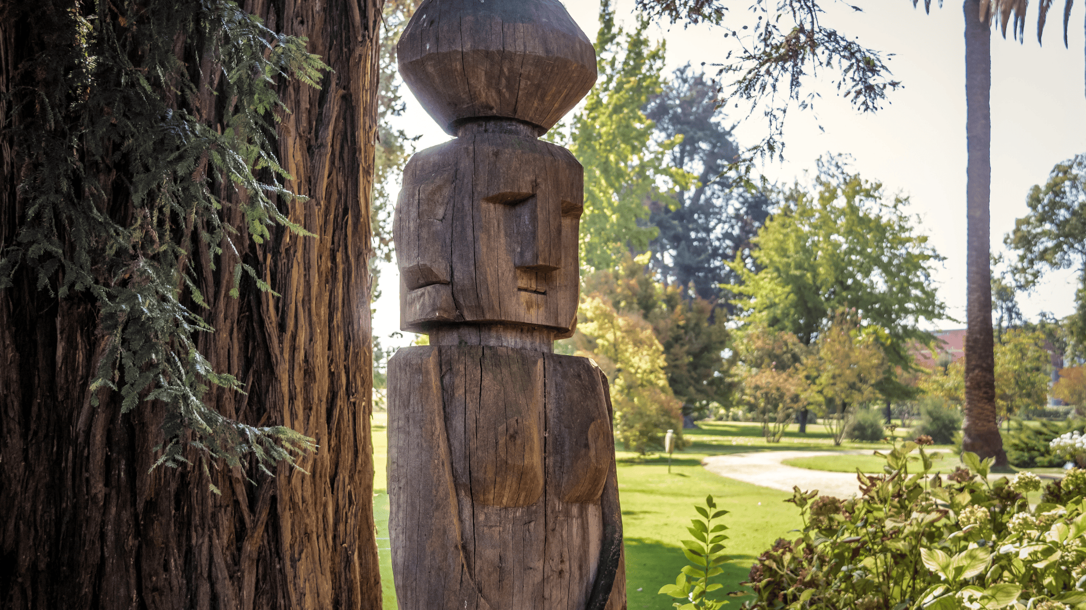 馬普切原住民文化體驗