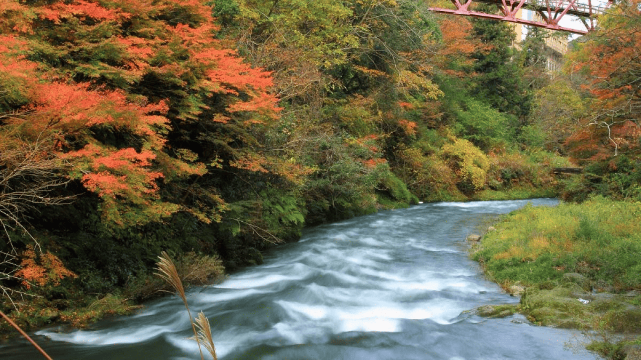 鶴仙溪 (2)