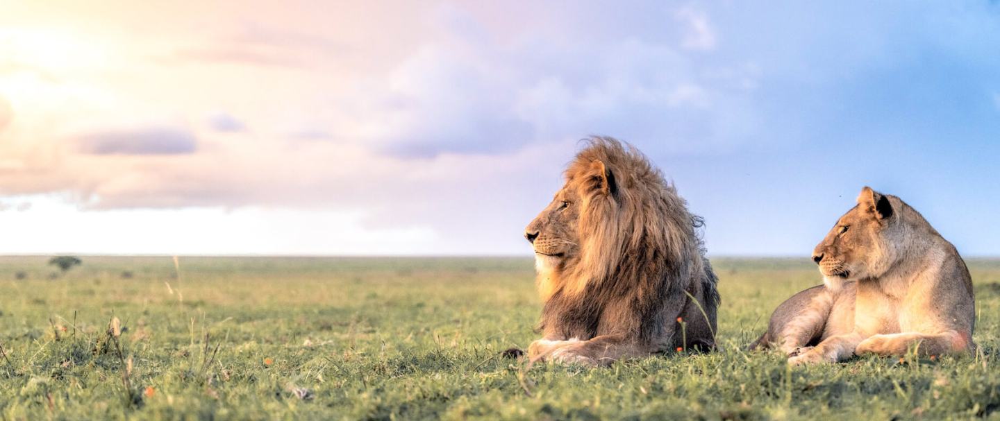 africa-tanzania
