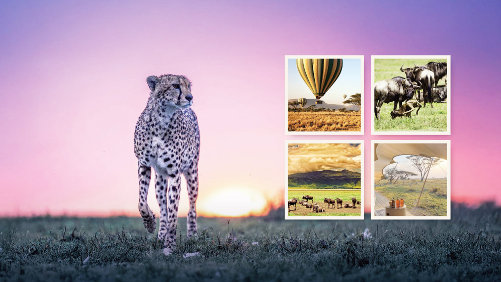 tanzania-banner