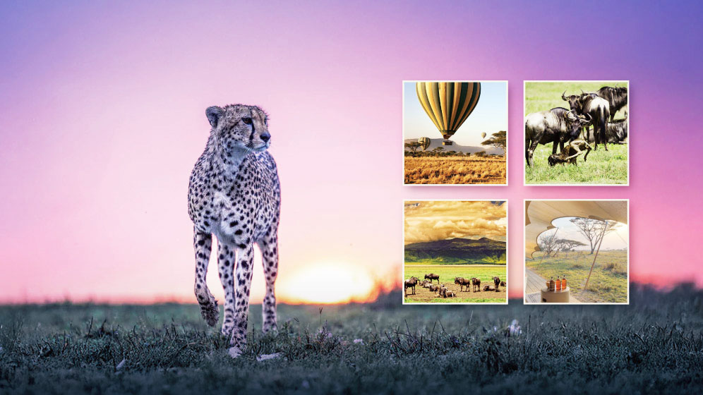 tanzania-banner